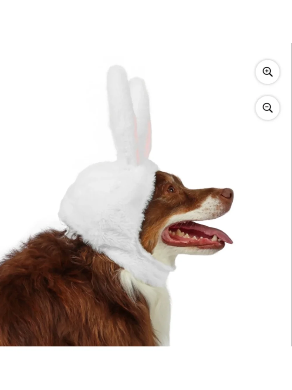 NEW Vibrant Life Dog Bunny Ears Costume One Size White Pink